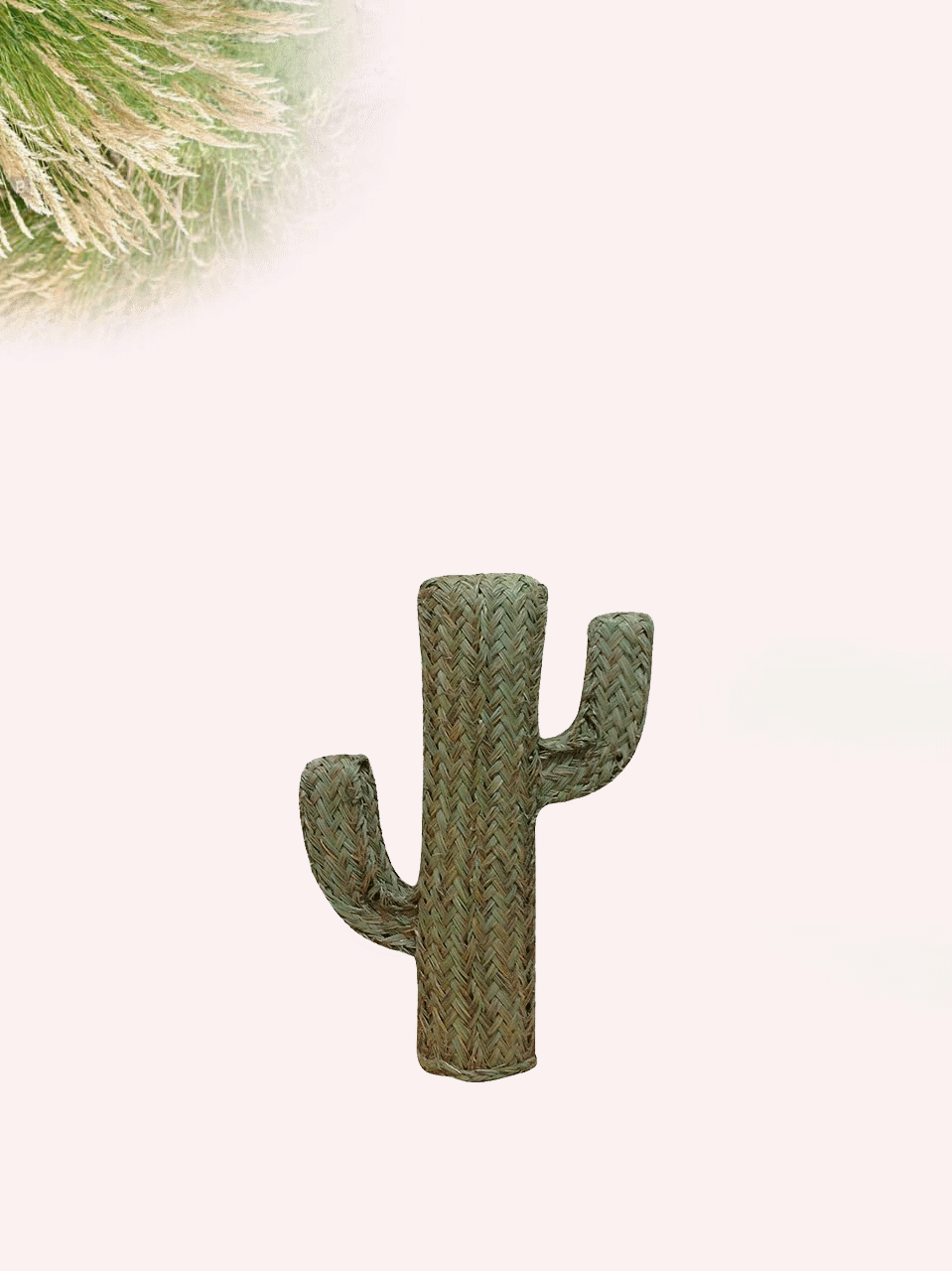 Cactus de Esparto Vegetal